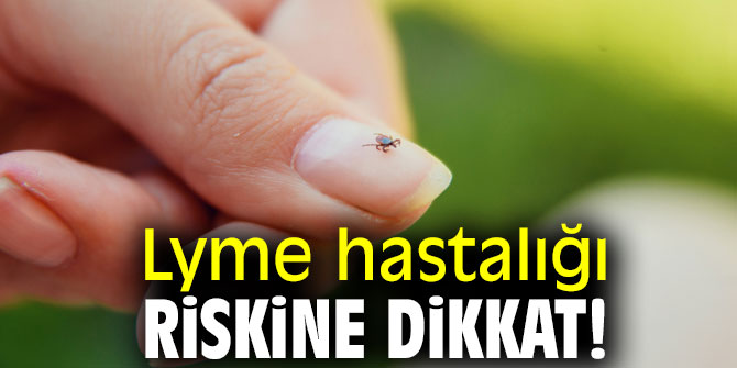 Doğa gezilerinde Lyme hastalığı riskine dikkat!