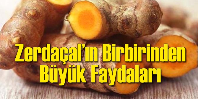 Zerdaçalın Birbirinden Büyük Faydaları