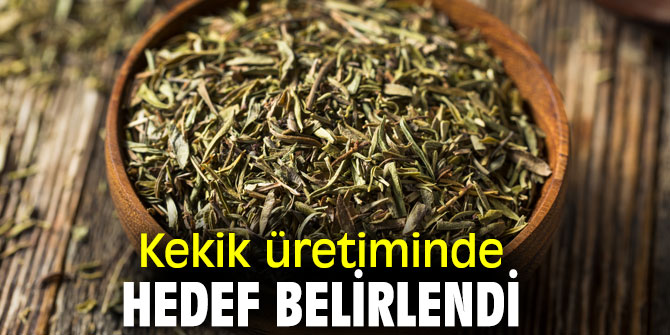 Kekik üretiminde hedef belirlendi