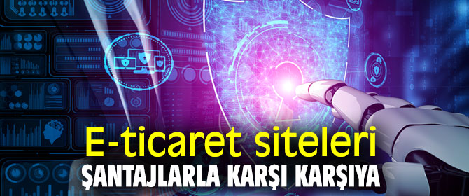 E-ticaret siteleri suçlular için cezbedici hedef