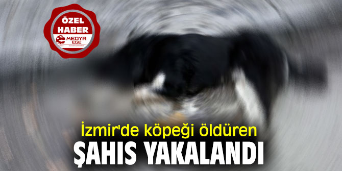 İzmir'de köpeği öldüren şahıs yakalandı
