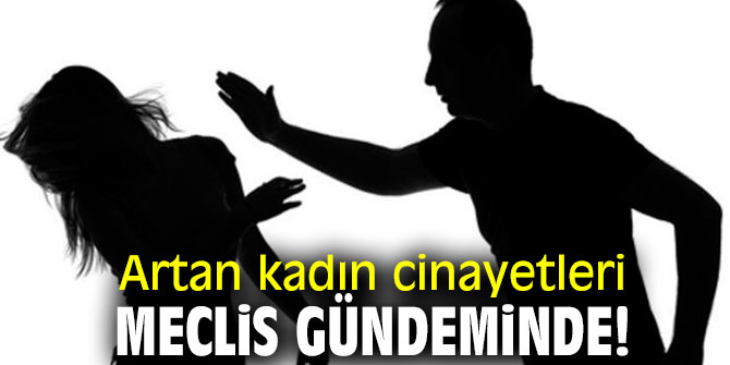 Artan kadın cinayetleri meclis gündeminde!