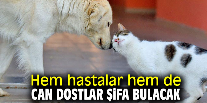 Can dostlar şifa bulacak