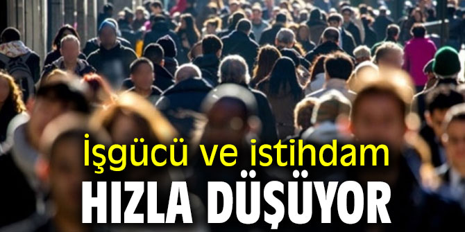 İşgücü ve istihdam hızla düşüyor