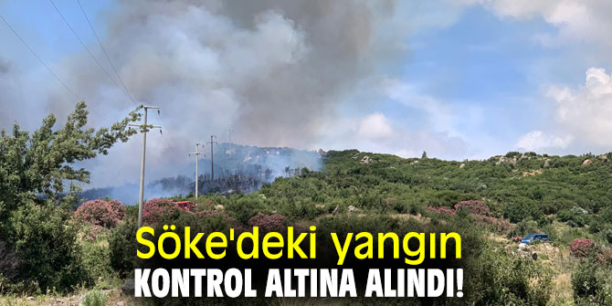 Söke'deki yangın Dilek Yarımadası'na sıçramadan kontrol altına alındı!