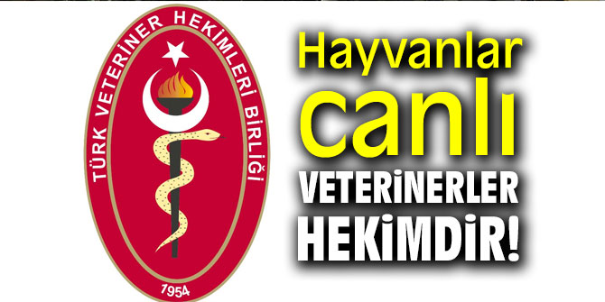 Hayvanlar canlı veterinerler hekimdir!