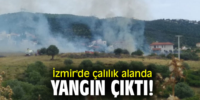 İzmir'de çalılık alanda yangın çıktı!