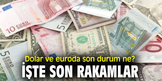 Dolar ve euroda son durum ne?