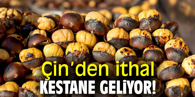 Çin’den ithal kestane geliyor!
