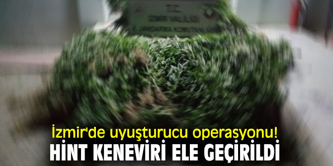 İzmir'de uyuşturucu operasyonu! Hint keneviri ele geçirildi