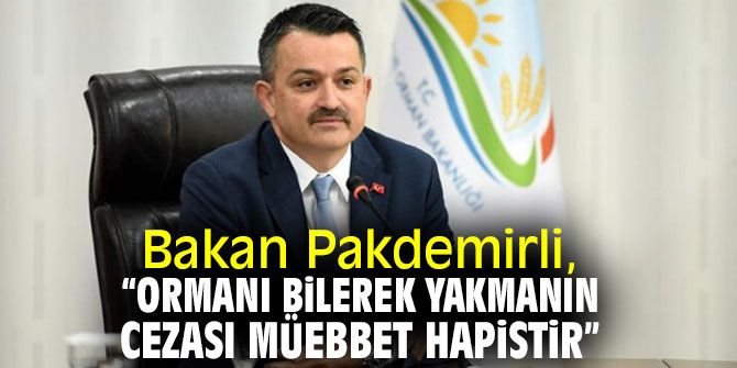 Bakan Pakdemirli, “Ormanı bilerek yakmanın cezası müebbet hapistir”