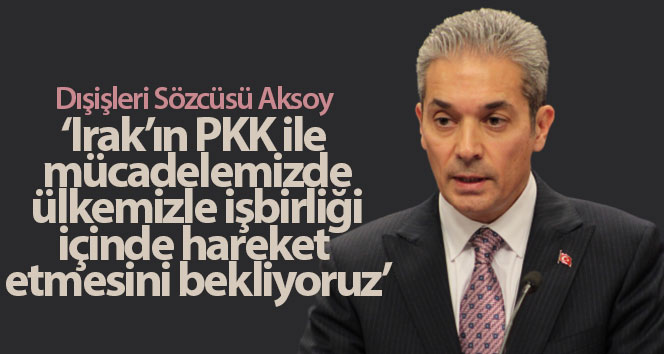 İşbirliği ve uyum içerisinde hareket etmesini bekliyoruz” dedi.