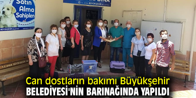 Can dostların bakımı Büyükşehir Belediyesi'nin barınağında yapıldı