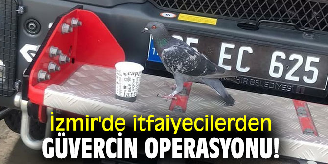 İzmir'de itfaiyecilerden güvercin operasyonu!