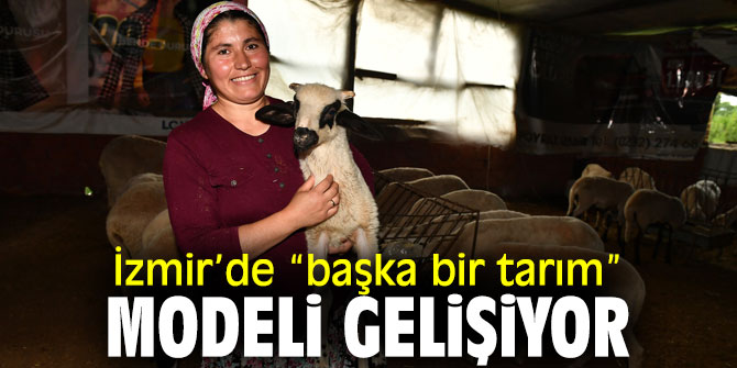 İzmir'de “başka bir tarım” modeli gelişiyor