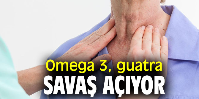 Tiroit bezi vücudun çalışma hızını belirliyor