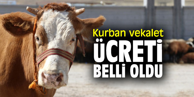 Diyanet İşleri Başkanlığı açıkladı! Kurban vekalet ücreti belli oldu