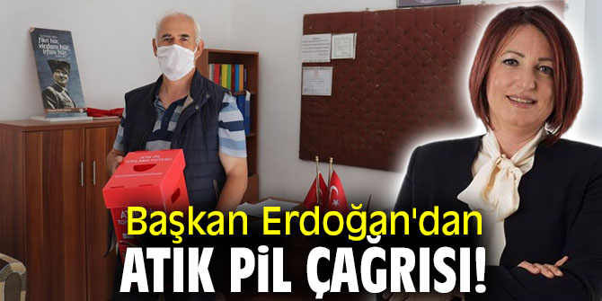 Başkan Erdoğan'dan atık pil çağrısı!