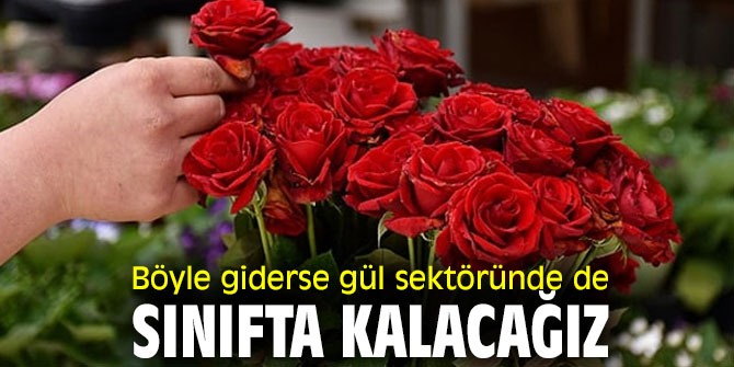 Böyle giderse gül sektöründe de sınıfta kalacağız
