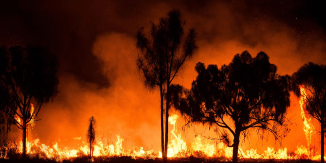 Akıllı Orman Kapsülü Geliştirildi!
