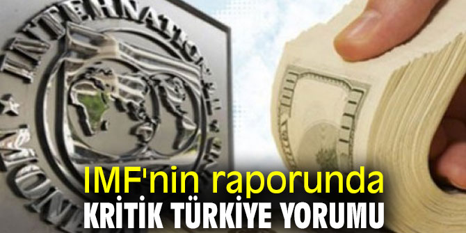 IMF'nin raporunda Türkiye yorumu!