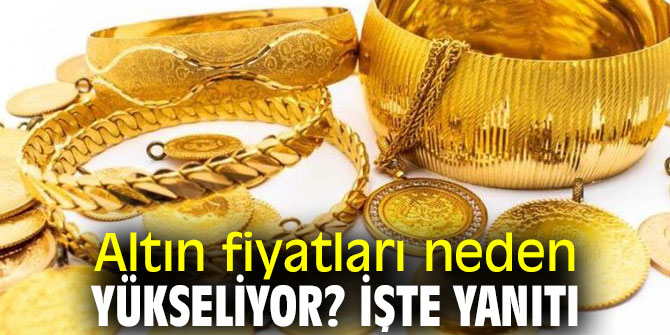 Altın fiyatları neden yükseliyor? İşte yanıtı