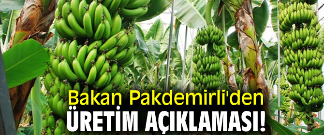 Bakan Pakdemirli'den üretim açıklaması!