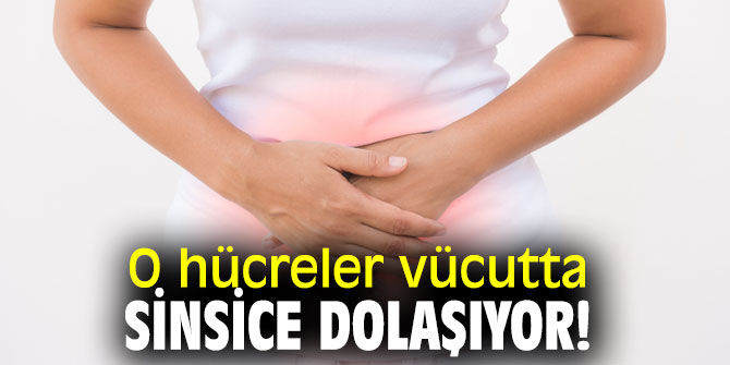 Uzmanı uyardı! O hücreler vücutta sinsice dolaşıyor!