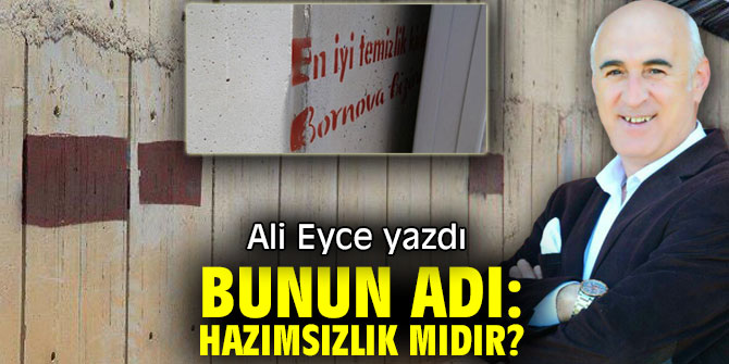 BUNUN ADI: HAZIMSIZLIK MIDIR?