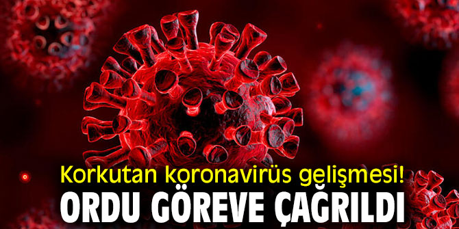 Korkutan koronavirüs gelişmesi! Ordu göreve çağrıldı
