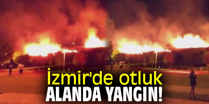 İzmir'de otluk alanda yangın! 