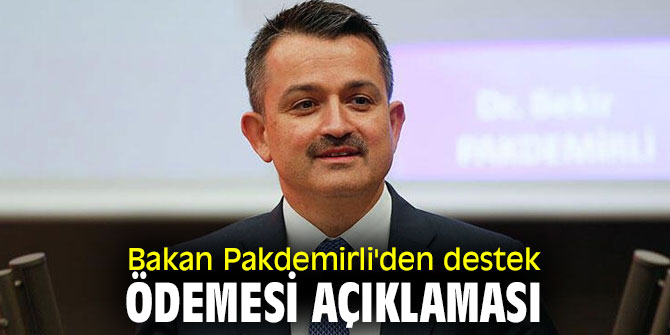 Bakan Pakdemirli'den flaş destek ödemesi açıklaması