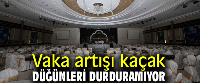 Kaçak düğünler durdurulamıyor!