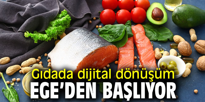 Ege gıdanın e-ticaret üssü olacak