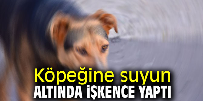 Köpeğine suyun altında işkence yaptı