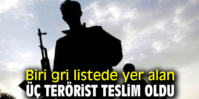 Biri gri listede yer alan üç terörist teslim oldu