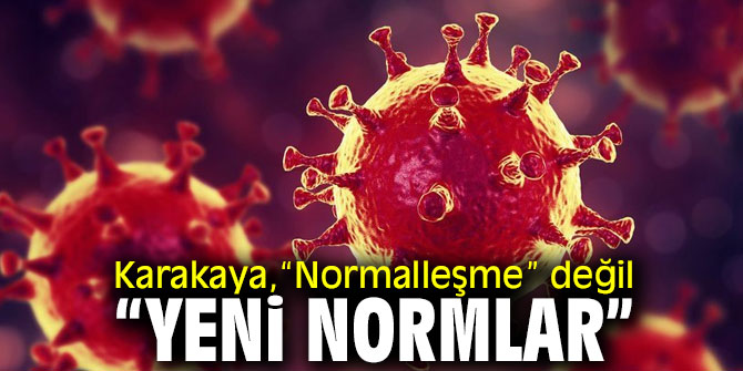 Karakaya,“Normalleşme” değil, “yeni normlar”
