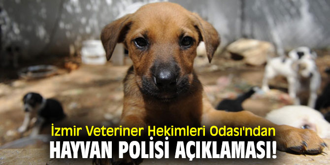 İzmir Veteriner Hekimleri Odası'ndan hayvan polisi açıklaması!