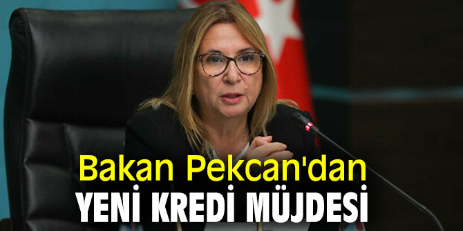 Bakan Pekcan'dan flaş kredi açıklaması
