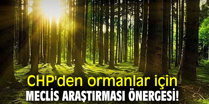  CHP'den ormanlar için Meclis Araştırması önergesi!