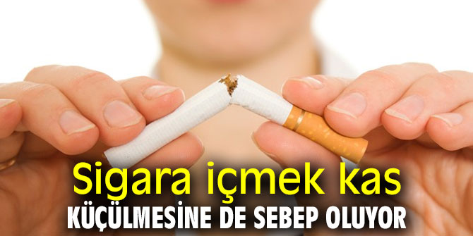 Dikkat! Sigara içmek kas küçülmesine de sebep oluyor