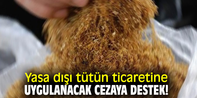 Yasa dışı tütün ticaretine uygulanacak cezaya destek!