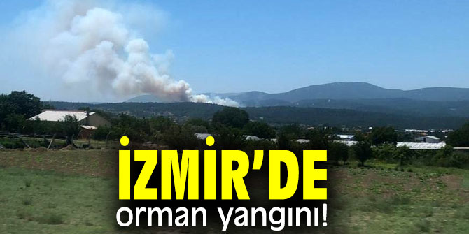 İzmir’de orman yangını!
