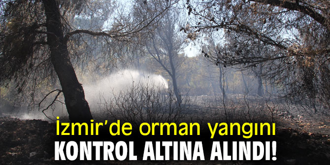 İzmir’de orman yangını kontrol altına alındı!
