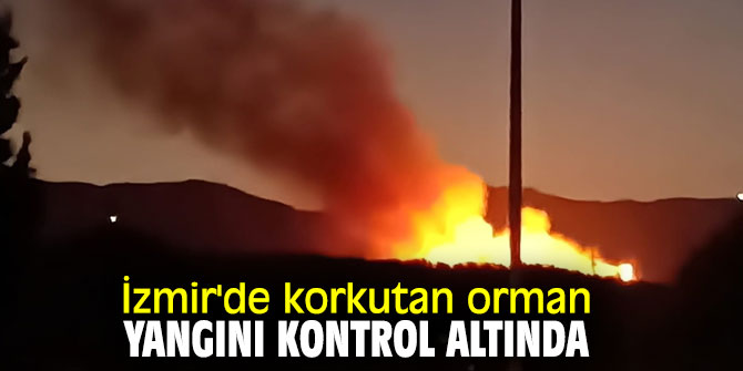 İzmir'de korkutan orman yangını kontrol altında