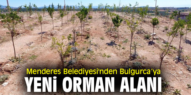 Menderes Belediyesi'nden Bulgurca’ya Yeni Orman Alanı