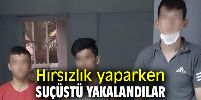 Hırsızlık yaparken suçüstü yakalandılar