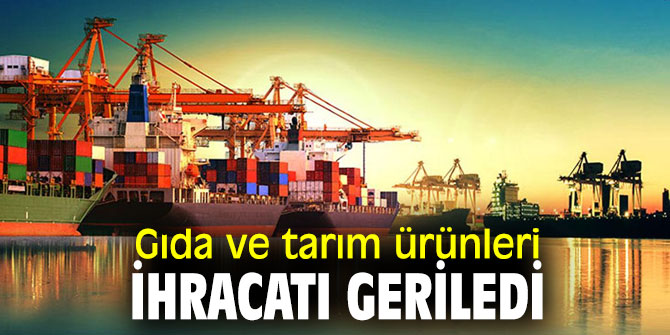 Gıda ve tarım ürünleri ihracatı geriledi