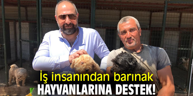 İş insanından barınak hayvanlarına destek!