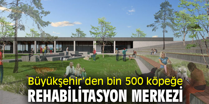 İzmir’de sokak hayvanları için Avrupa standartlarında merkez